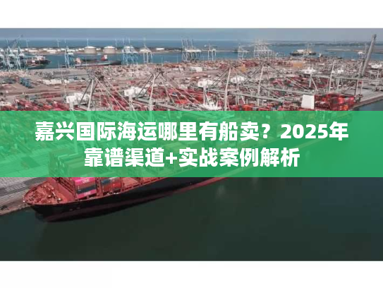 嘉兴国际海运哪里有船卖？2025年靠谱渠道+实战案例解析