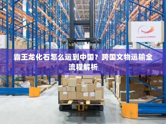 霸王龙化石怎么运到中国？跨国文物运输全流程解析