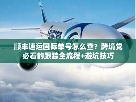 顺丰速运国际单号怎么查？跨境党必看的跟踪全流程+避坑技巧