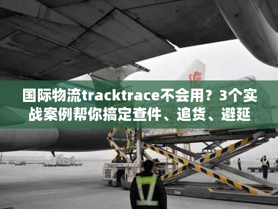 国际物流tracktrace不会用？3个实战案例帮你搞定查件、追货、避延误