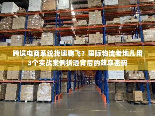 跨境电商系统找速腾飞?国际物流老炮儿用3个实战案例拆透背后的效率密码 跨境电商系统找速腾飞?国际物流老炮儿用3个实战案例拆透背后的效率密码