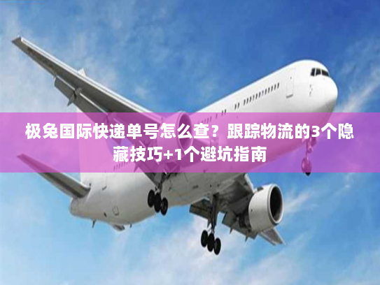 极兔国际快递单号怎么查？跟踪物流的3个隐藏技巧+1个避坑指南