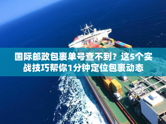国际邮政包裹单号查不到？这5个实战技巧帮你1分钟定位包裹动态