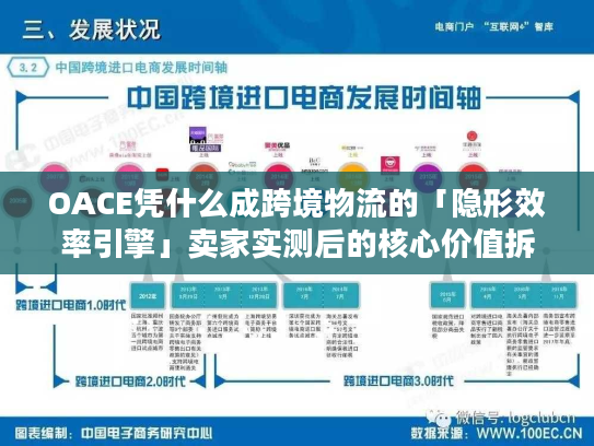 OACE凭什么成跨境物流的「隐形效率引擎」卖家实测后的核心价值拆解