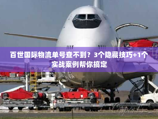 百世国际物流单号查不到？3个隐藏技巧+1个实战案例帮你搞定