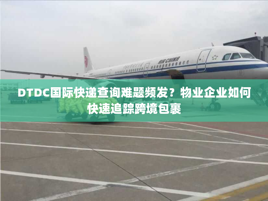 DTDC国际快递查询难题频发？物业企业如何快速追踪跨境包裹