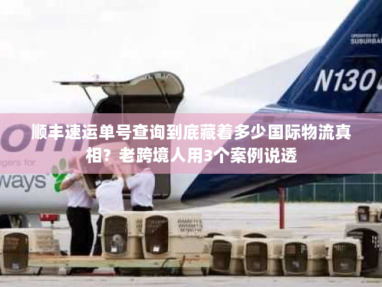 顺丰速运单号查询到底藏着多少国际物流真相？老跨境人用3个案例说透