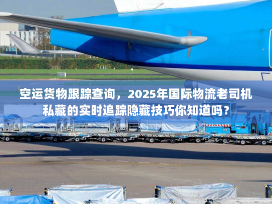 空运货物跟踪查询，2025年国际物流老司机私藏的实时追踪隐藏技巧你知道吗？
