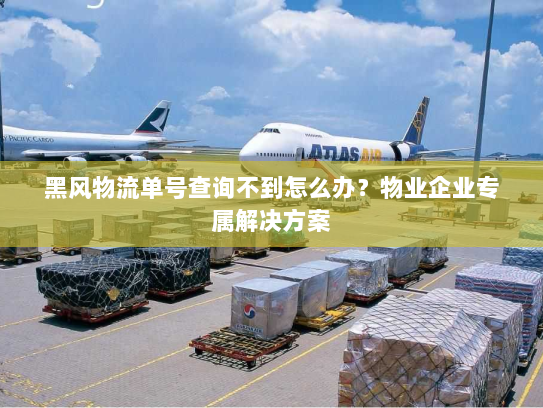 黑风物流单号查询不到怎么办？物业企业专属解决方案