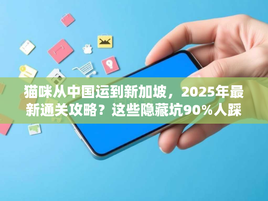 猫咪从中国运到新加坡，2025年最新通关攻略？这些隐藏坑90%人踩过！