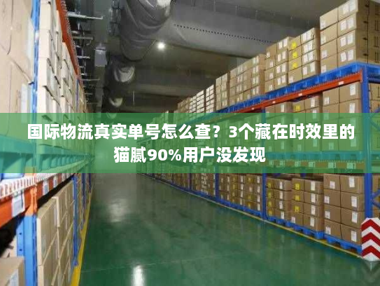 国际物流真实单号怎么查？3个藏在时效里的猫腻90%用户没发现