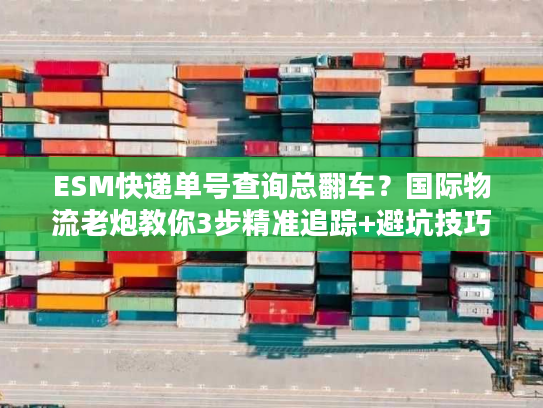 ESM快递单号查询总翻车？国际物流老炮教你3步精准追踪+避坑技巧