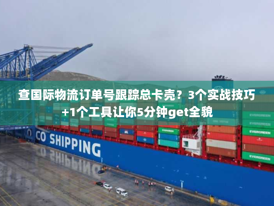 查国际物流订单号跟踪总卡壳？3个实战技巧+1个工具让你5分钟get全貌