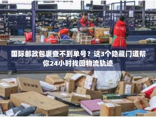 国际邮政包裹查不到单号？这3个隐藏门道帮你24小时找回物流轨迹