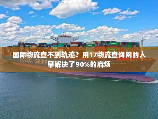 国际物流查不到轨迹？用17物流查询网的人早解决了90%的麻烦