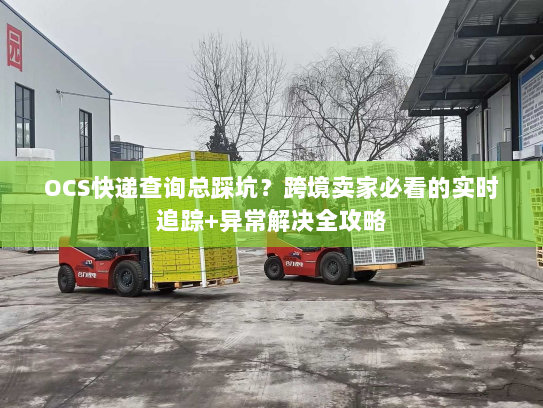 OCS快递查询总踩坑？跨境卖家必看的实时追踪+异常解决全攻略