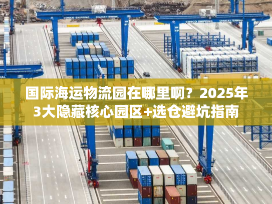 国际海运物流园在哪里啊？2025年3大隐藏核心园区+选仓避坑指南