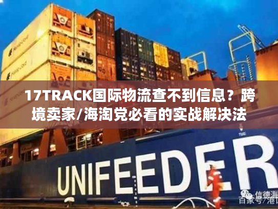 17TRACK国际物流查不到信息?跨境卖家/海淘党必看的实战解决法 17TRACK国际物流查不到信息?跨境卖家/海淘党必看的实战解决法