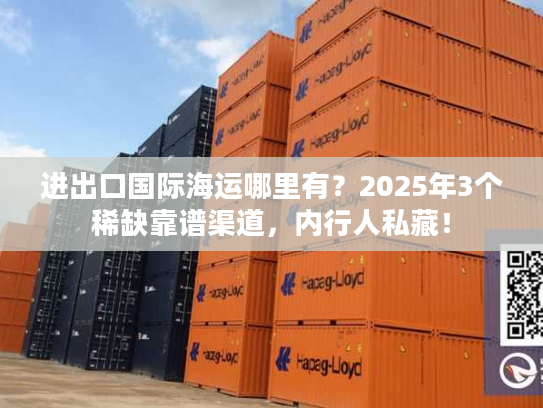 进出口国际海运哪里有？2025年3个稀缺靠谱渠道，内行人私藏！