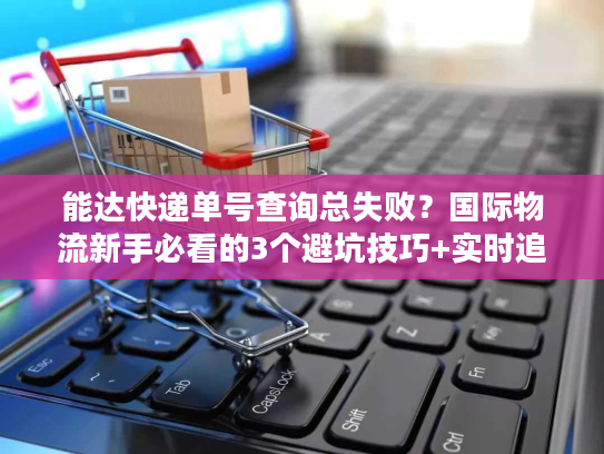 能达快递单号查询总失败？国际物流新手必看的3个避坑技巧+实时追踪实战