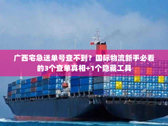广西宅急送单号查不到？国际物流新手必看的3个查单真相+1个隐藏工具