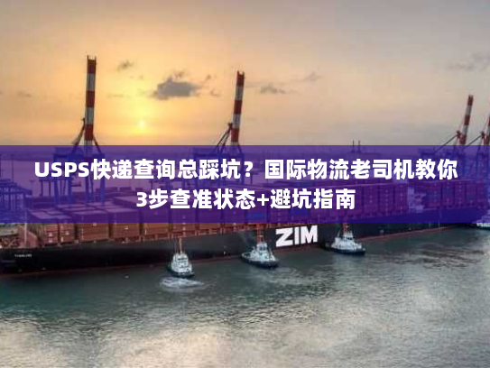 USPS快递查询总踩坑？国际物流老司机教你3步查准状态+避坑指南
