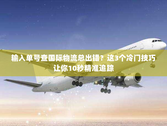 输入单号查国际物流总出错？这3个冷门技巧让你10秒精准追踪