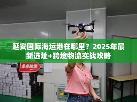 延安国际海运港在哪里？2025年最新选址+跨境物流实战攻略