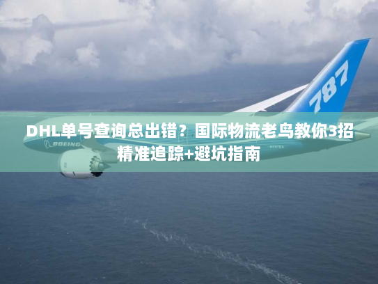 DHL单号查询总出错?国际物流老鸟教你3招精准追踪+避坑指南 DHL单号查询总出错?国际物流老鸟教你3招精准追踪+避坑指南