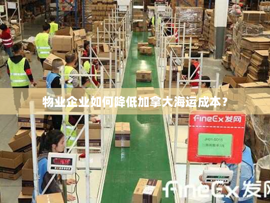 物业企业如何降低加拿大海运成本？