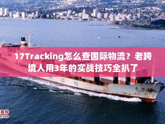 17Tracking怎么查国际物流?老跨境人用3年的实战技巧全扒了 17Tracking怎么查国际物流?老跨境人用3年的实战技巧全扒了