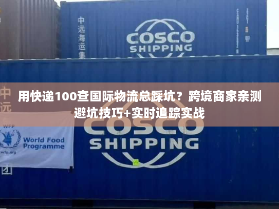 用快递100查国际物流总踩坑？跨境商家亲测避坑技巧+实时追踪实战