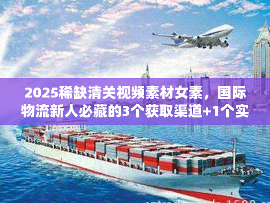 2025稀缺清关视频素材女素，国际物流新人必藏的3个获取渠道+1个实战案例