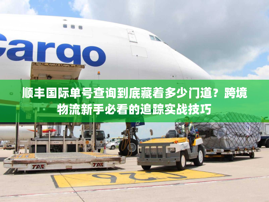 顺丰国际单号查询到底藏着多少门道?跨境物流新手必看的追踪实战技巧 顺丰国际单号查询到底藏着多少门道?跨境物流新手必看的追踪实战技巧