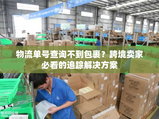 物流单号查询不到包裹?跨境卖家必看的追踪解决方案 物流单号查询不到包裹?跨境卖家必看的追踪解决方案