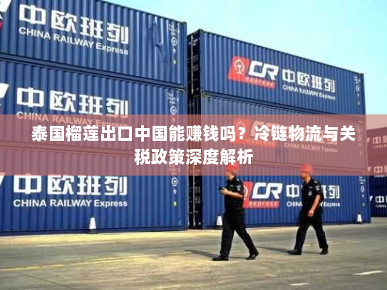 泰国榴莲出口中国能赚钱吗?冷链物流与关税政策深度解析 泰国榴莲出口中国能赚钱吗?冷链物流与关税政策深度解析