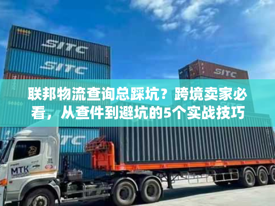 联邦物流查询总踩坑？跨境卖家必看，从查件到避坑的5个实战技巧