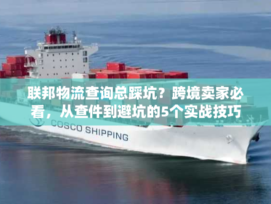联邦物流查询总踩坑？跨境卖家必看，从查件到避坑的5个实战技巧