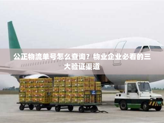 公正物流单号怎么查询？物业企业必看的三大验证渠道
