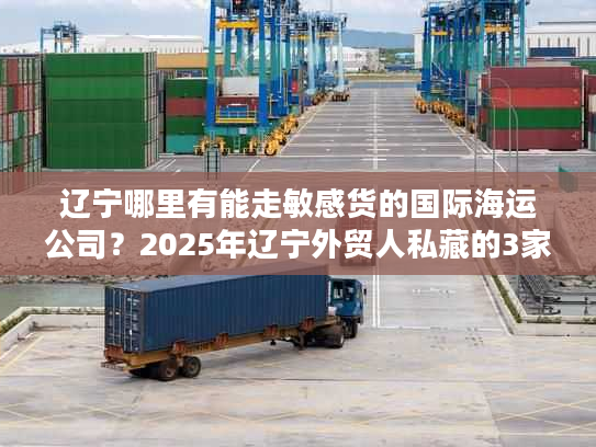 辽宁哪里有能走敏感货的国际海运公司？2025年辽宁外贸人私藏的3家靠谱服务商