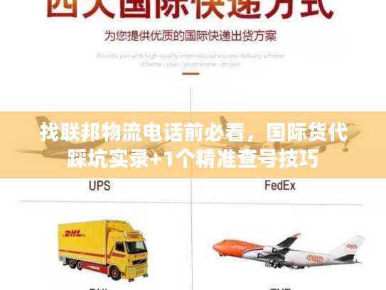 找联邦物流电话前必看，国际货代踩坑实录+1个精准查号技巧