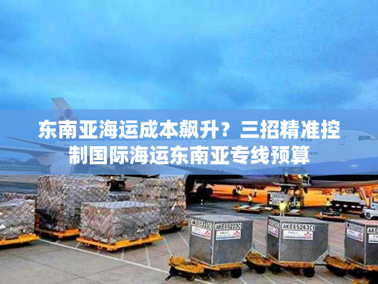 东南亚海运成本飙升？三招精准控制国际海运东南亚专线预算