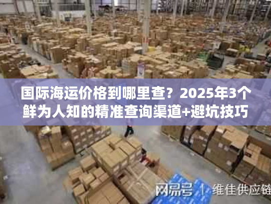 国际海运价格到哪里查？2025年3个鲜为人知的精准查询渠道+避坑技巧