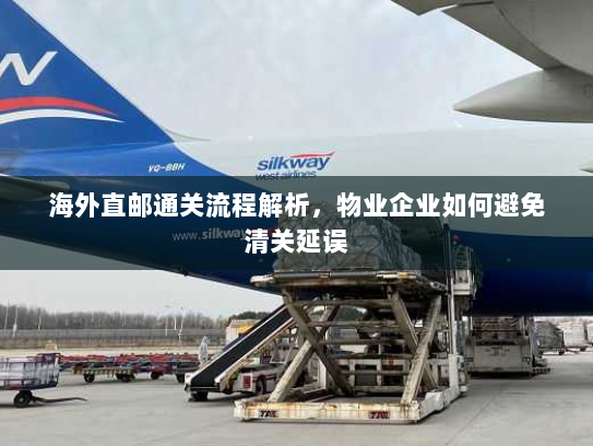 海外直邮通关流程解析,物业企业如何避免清关延误 海外直邮通关流程解析,物业企业如何避免清关延误