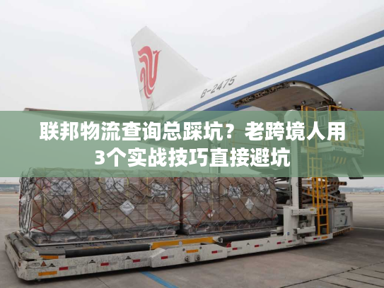 联邦物流查询总踩坑？老跨境人用3个实战技巧直接避坑