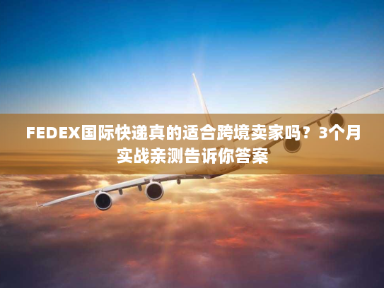 FEDEX国际快递真的适合跨境卖家吗?3个月实战亲测告诉你答案 FEDEX国际快递真的适合跨境卖家吗?3个月实战亲测告诉你答案