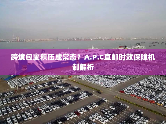 跨境包裹积压成常态?A.P.C直邮时效保障机制解析 跨境包裹积压成常态?A.P.C直邮时效保障机制解析
