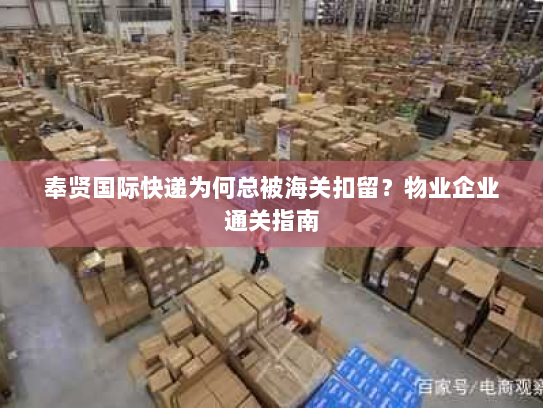 奉贤国际快递为何总被海关扣留?物业企业通关指南 奉贤国际快递为何总被海关扣留?物业企业通关指南