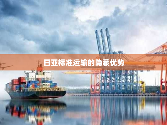 日亚标准运输的隐藏优势 日亚标准运输的隐藏优势