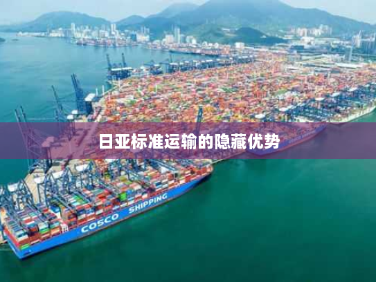 日亚标准运输的隐藏优势 日亚标准运输的隐藏优势
